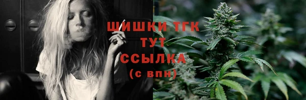 МДПВ Краснослободск