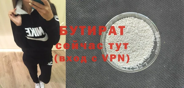 дживик Ельня