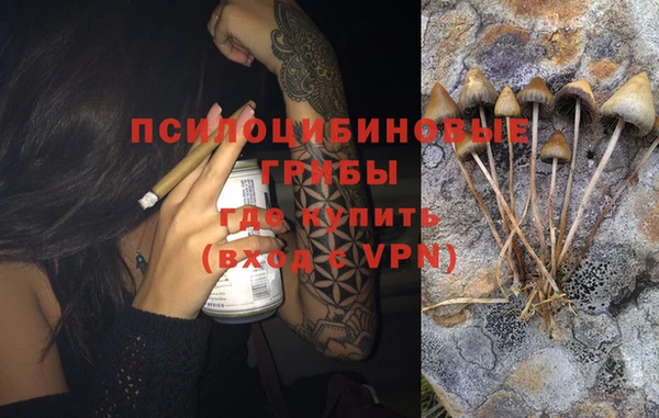 марки lsd Козловка