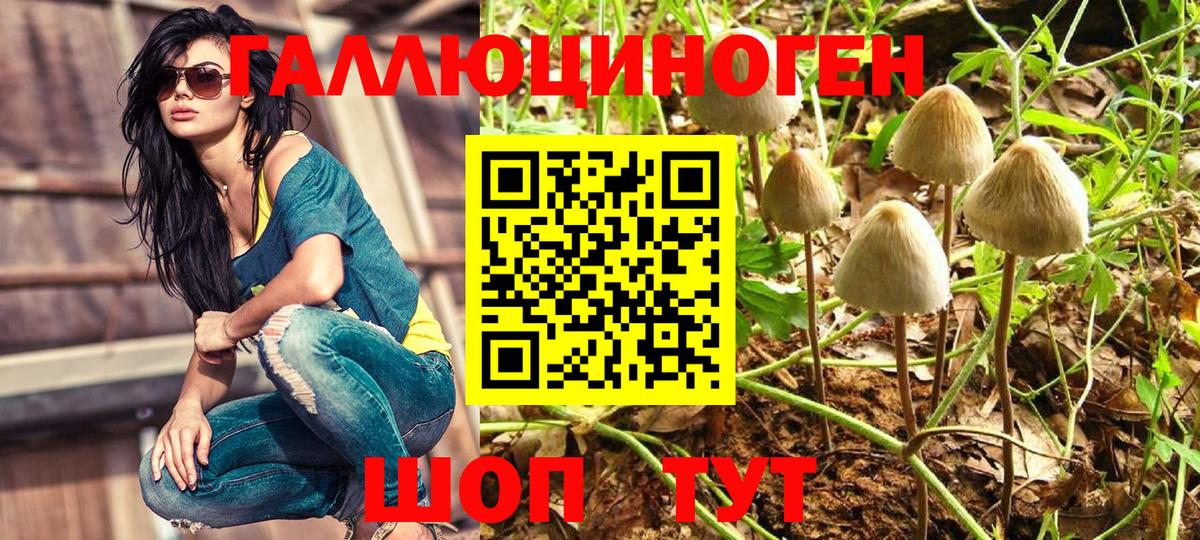 Галлюциногенные грибы Cubensis  Галлюциногенные грибы прущие грибы  Вход с VPN  Ливны 
